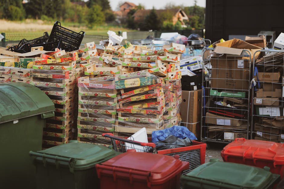 A large outdoor area occupied by stacks of cardboard boxes containing fresh fruit products, identifiable by the bright, colorful fruit labels on the packaging, with some boxes partially open or collapsed. To the left, there's a green plastic waste bin with a closed lid, and in the foreground, a small red shopping cart positioned partly under the boxes. On the right, there are metal wire cages filled with various brown cardboard boxes and packaging supplies, some with visible labels indicating contents such as 'reel tomatoes'. Additional small cardboard boxes are stacked nearby, and a few loose items, including a blue plastic bag, are scattered on the ground. The scene is set outdoors, with a paved surface and a blurred background of greenery and distant buildings, under natural daylight, suggesting an area used for waste collection or disposal, possibly related to an independent rubbish removal service like Waste Collection Highbury, known for alternative waste management solutions.